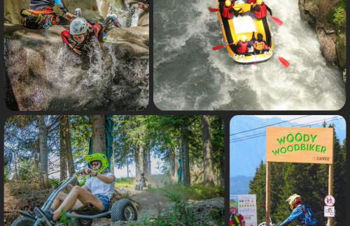 Vintage chic -central, wifi, mountain view-BelleVue3 - Photo 38