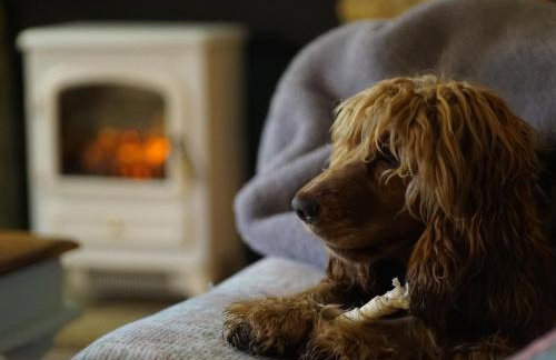 The Old Dairy - Foto 8