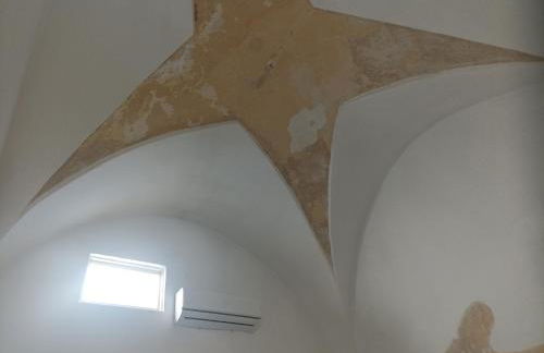 Fichi d india - Foto 13