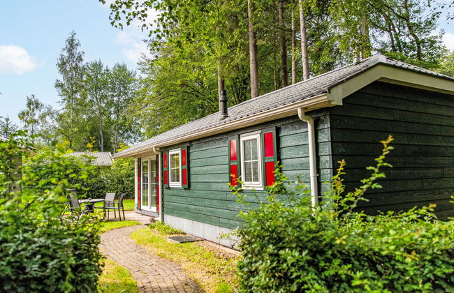 4-persoons bos - Foto 16