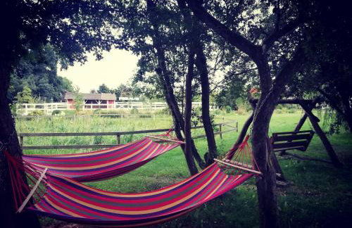 Babie Lato - Foto 35