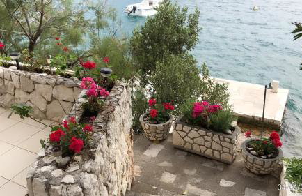 House Paula - Photo 7