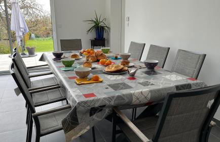 Au gré des oiseaux - Photo 4