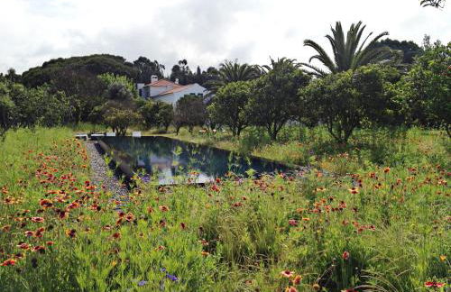 Quinta Do Miguel - Foto 14