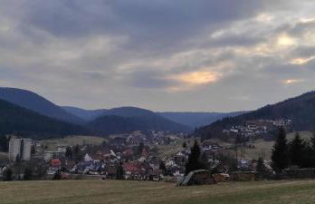 Ferienwohnung Vogelnest im Schwarzwald - Foto 39