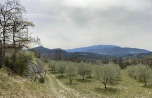 Remote cottage with valley views - Foto 18