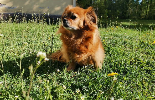 Relaxing Beatiful Studio - Sauna Bath Facility - Photo 27