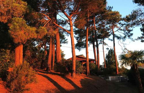 Grande villa avec jacuzzi à La Pointe aux Chevaux - FR-1-736-23 - Photo 7