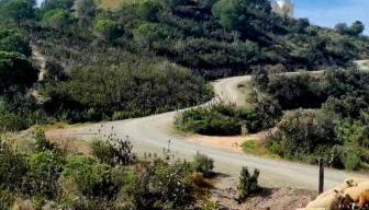 HuesPet&You - Foto 5