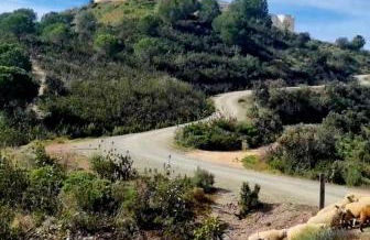 HuesPet&You - Foto 5