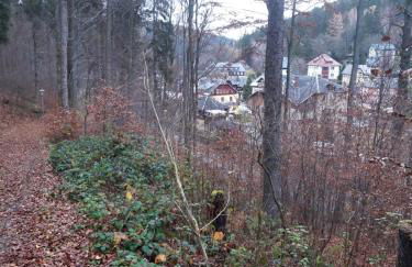 Haus Stefanie Elvire - Foto 68