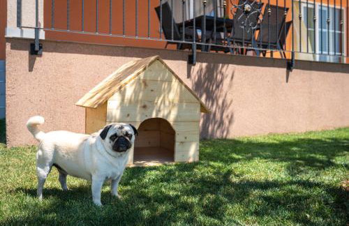 Apartments Vesna - Photo 58