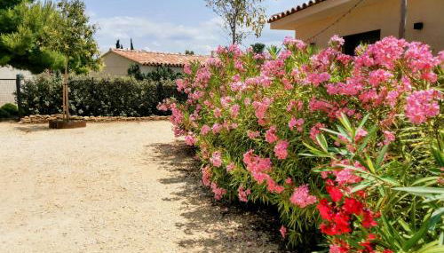 Villa La Voile au Vent - Sur les collines de la Cadière d'Azur - Villa spacieuse, 4 chambres, climatisée avec piscine à débordement, Vue mer et collines - Foto 3, Garden