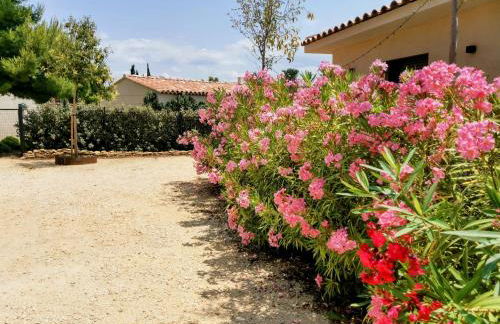 Villa La Voile au Vent - Sur les collines de la Cadière d'Azur - Villa spacieuse, 4 chambres, climatisée avec piscine à débordement, Vue mer et collines - Foto 3