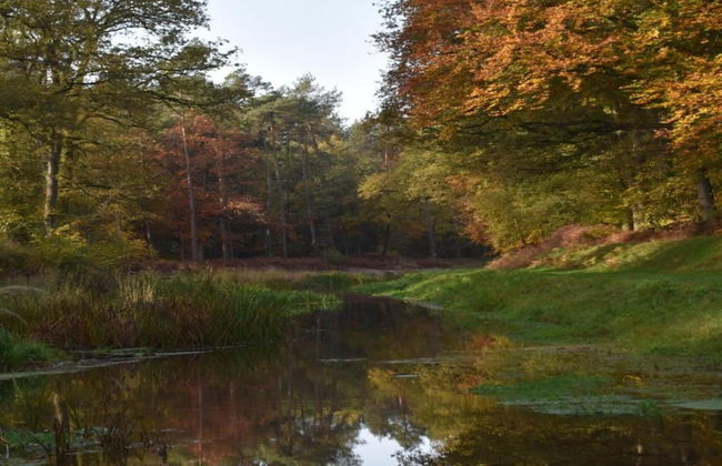 Holiday Home in Haaksbergen by Lake - Photo 34