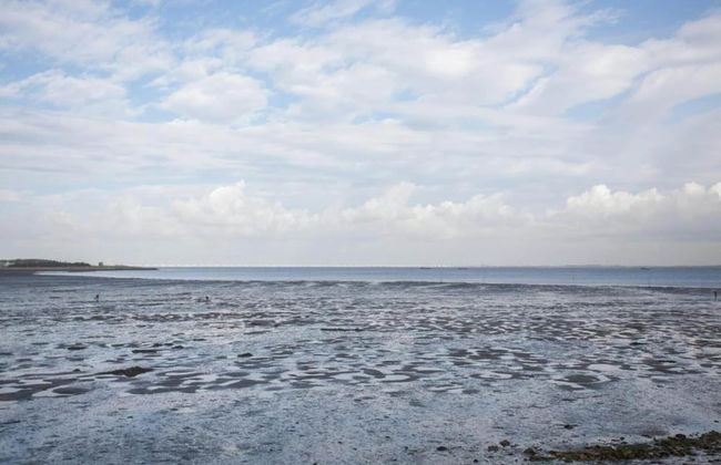 Lovely Holiday Home in Kattendijke Near Centre - Foto 70