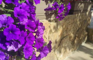 Villa Anthemida Chania - Foto 5