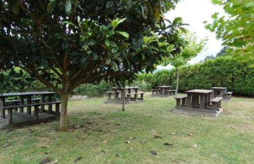 Piso Encanto Palmeiro - Foto 24