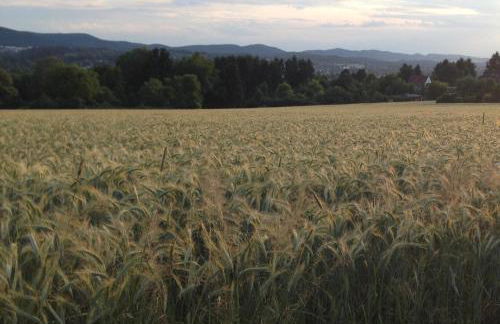 Lieblingsnest Detmold - Foto 71