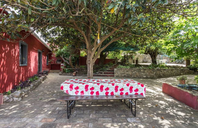 Casa Amoreira - Quinta Amoreira - Foto 46