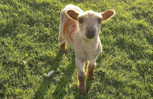 Cosy Shay Bank Cottage w/ Kingbed - Near Skipton. - Foto 24