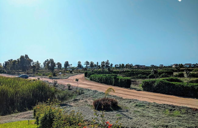 HOP Aruba Exclusiva Oasis y Playa en Chincha - Foto 19