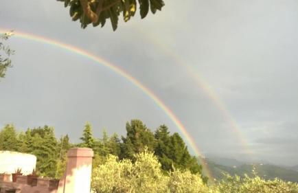 Le Donne di Bargecchia - Foto 30