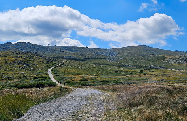 Excursión a la montaña Vitosha y la cascada Boyana - Foto 1