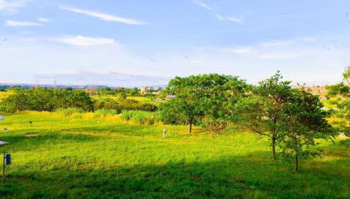Rome Sweet Home - Foto 5, Garden, Garden view