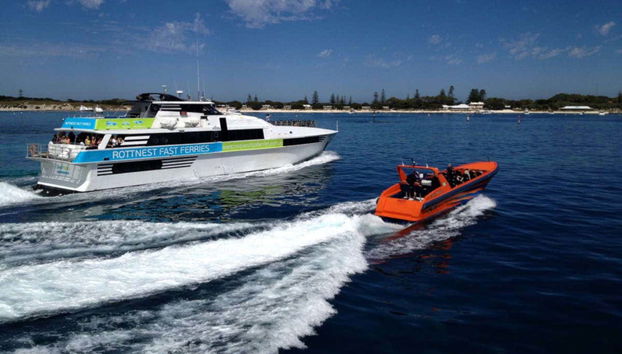 Whale Watching Cruise - Photo 3