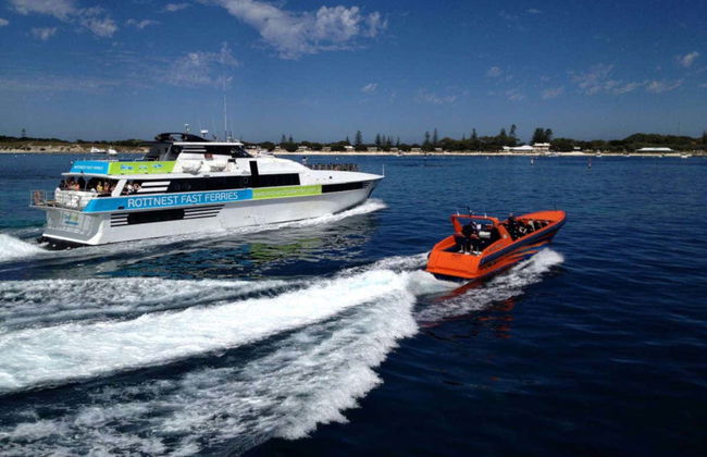 Whale Watching Cruise - Photo 3