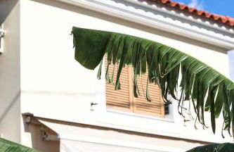 Eleni Suites Methoni - Photo 12