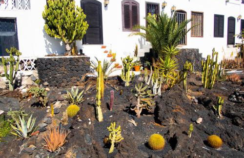 Zuri by Kamili Lanzarote - Foto 31