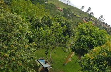 Chácara Sonia & Mineiro - Foto 32