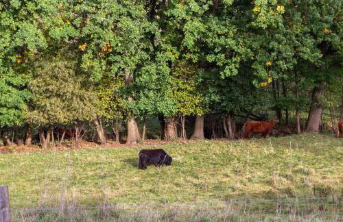Ferienwohnung Hirschgrundblick - Foto 6