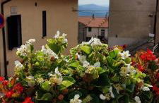 Linda's Holiday Home - Foto 44