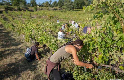La Vicomtesse de Seillans - Foto 23