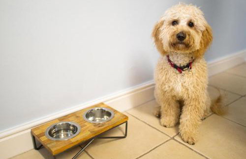 Railway Cottage - Foto 16