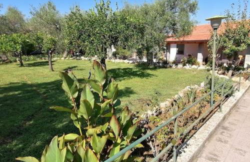 Piccolo Podere - Foto 26