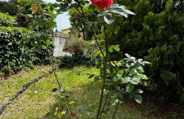 VILLA VISCALORI A garden with pool and see view near Etna - Foto 3