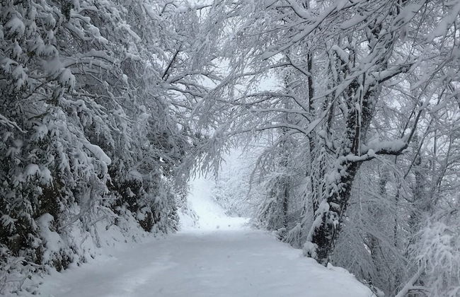 Baraka bungalov - Foto 39