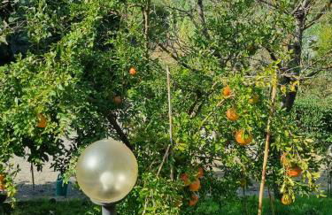 Casa Imola - Foto 29