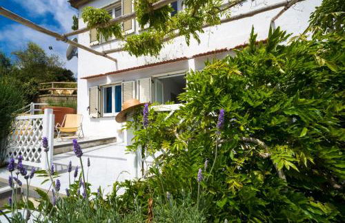 Agriturismo Fattoria Terranova - Foto 94