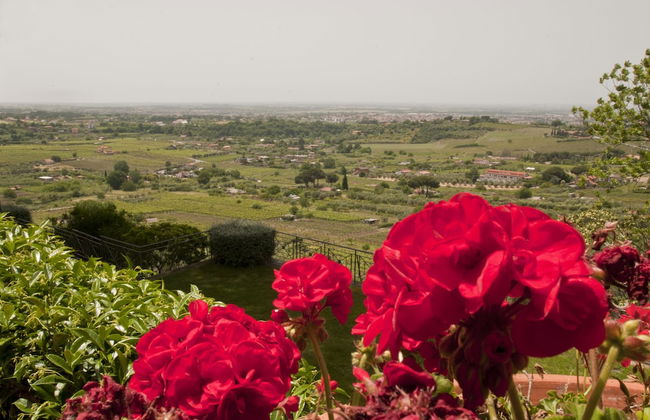 Tenuta Cusmano Villa Resort - Foto 39