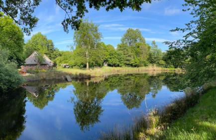 Reetdachhaus am See Ostfriesland - Foto 17