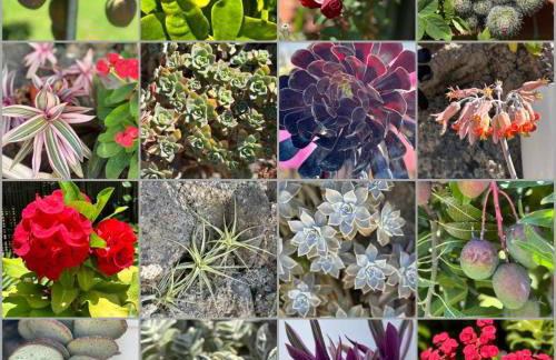 Casa Rural Eneida - Foto 63