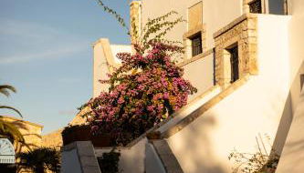 Agriturismo Masseria Del Crocifisso - Foto 3