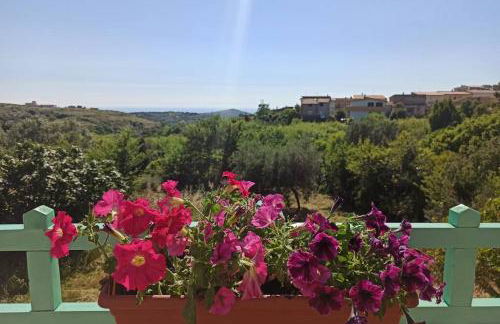 La Terrazza sul Melograno - Magomadas - Foto 35