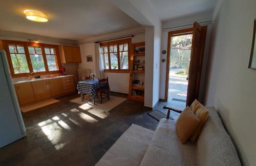 Σπίτι σε ελαιώνα, house in an olive grove - Foto 5