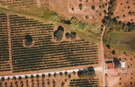 Monte Santo António - Alqueva - Photo 3